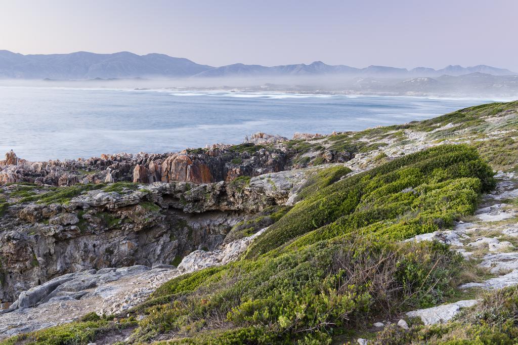 Whalesong Lodge Gansbaai Kültér fotó