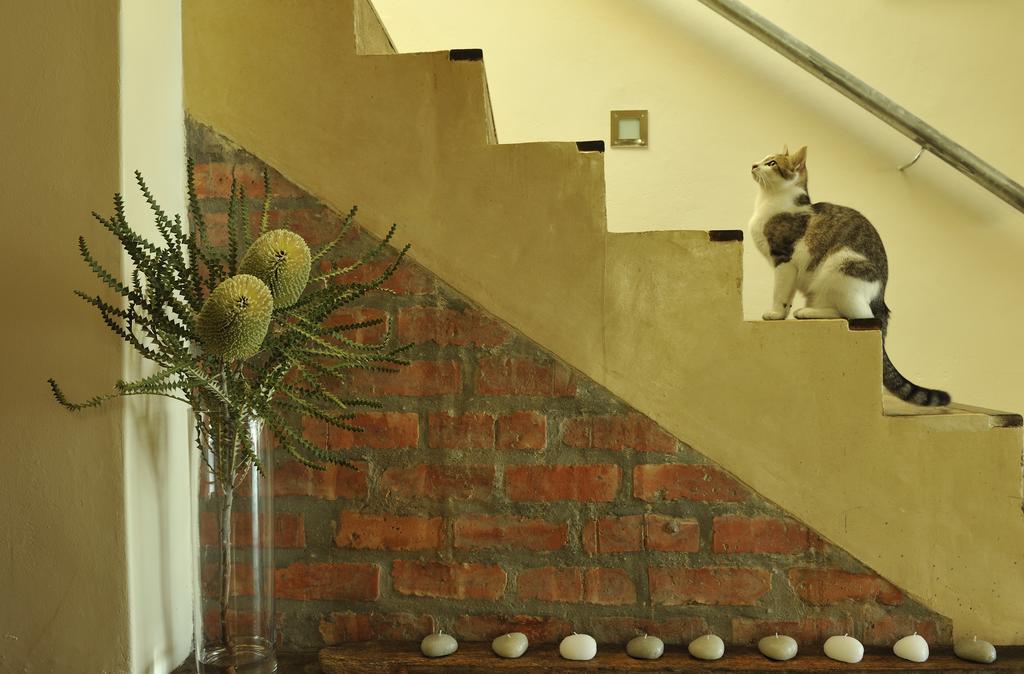 Whalesong Lodge Gansbaai Kültér fotó