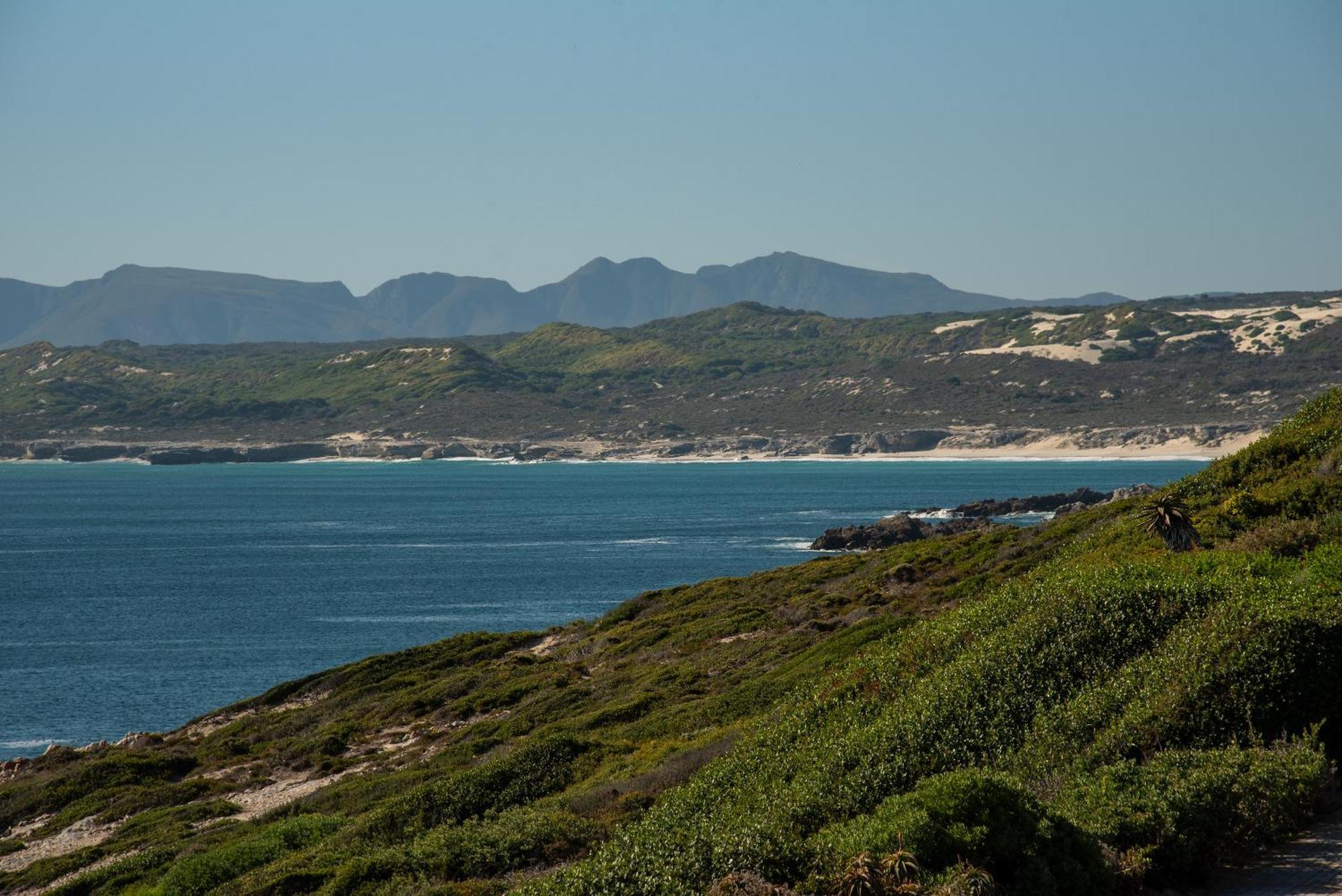 Whalesong Lodge Gansbaai Kültér fotó