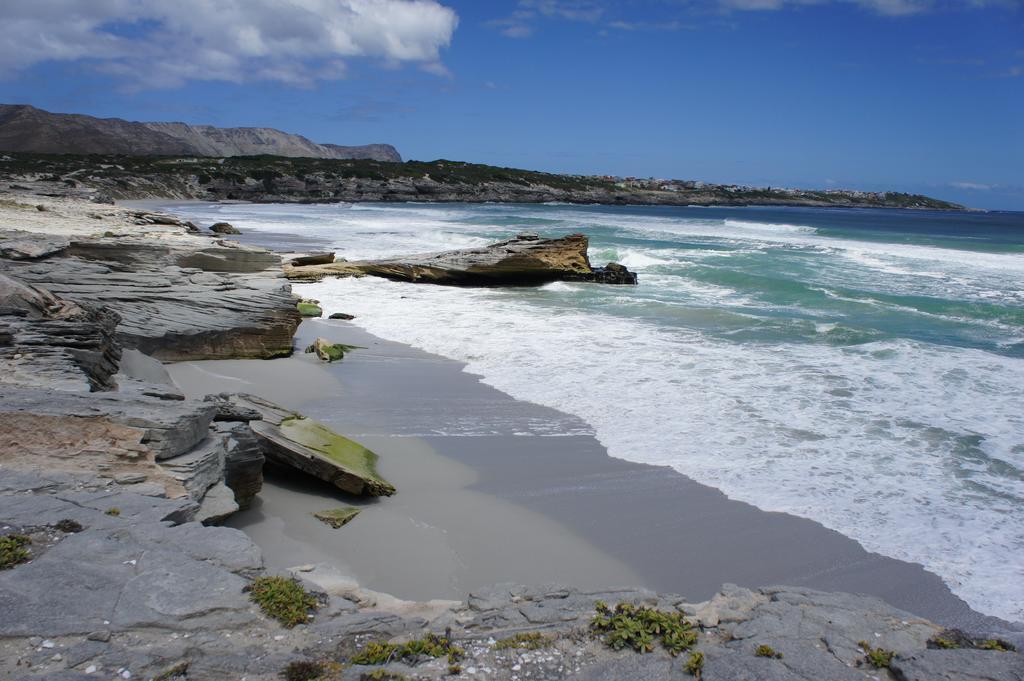 Whalesong Lodge Gansbaai Kültér fotó